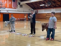 woman speaks into microphone in school gym while two school boys hold miniature horses by bridles